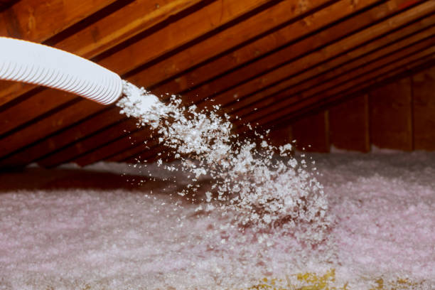 Best Spray Foam Insulation  in Whitestown, IN