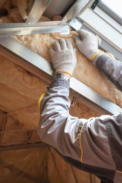 Best Insulation Contractors for Homes  in Whitestown, IN