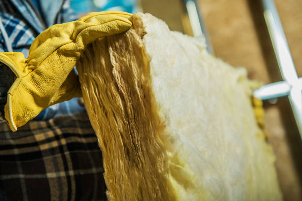 Best Home Insulation Services  in Whitestown, IN