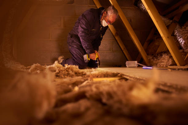 Best Insulation Contractors for Homes  in Whitestown, IN